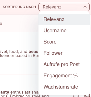 Influencer Suche -